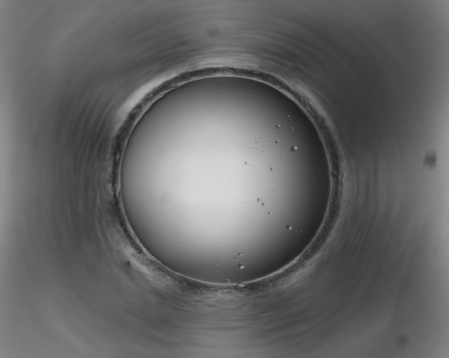 X0000116810830200912181342