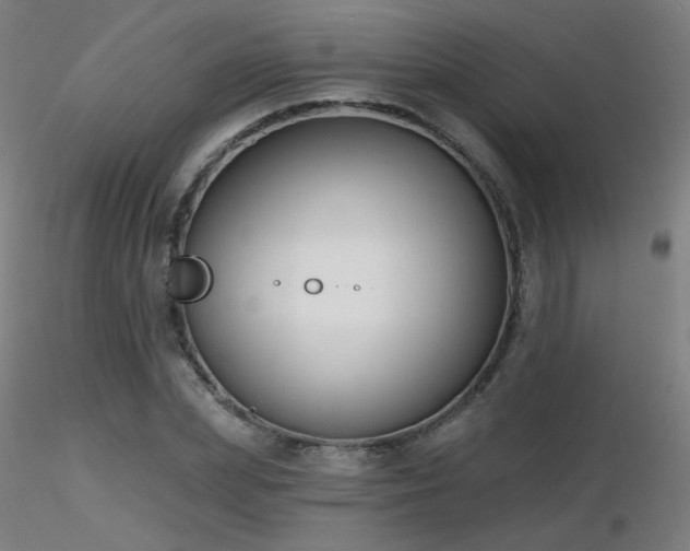 X0000116810831200912181342