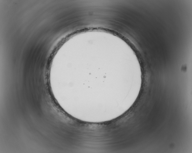 X0000116810832200912181342
