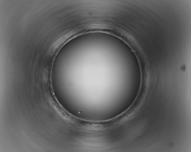 X0000116810833200912181342