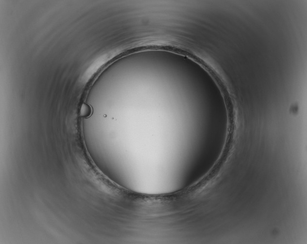X0000116810834200912181342