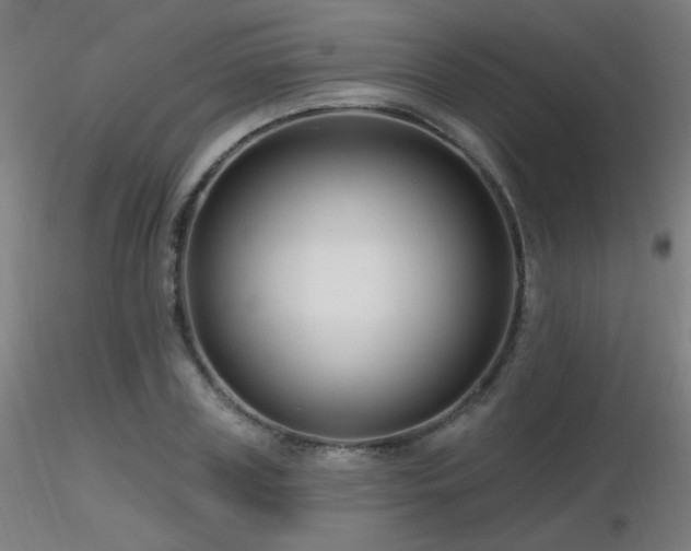 X0000116810835200912181342