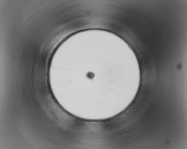 X0000116810836200912181342