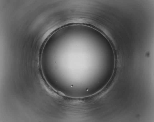 X0000116810837200912181342