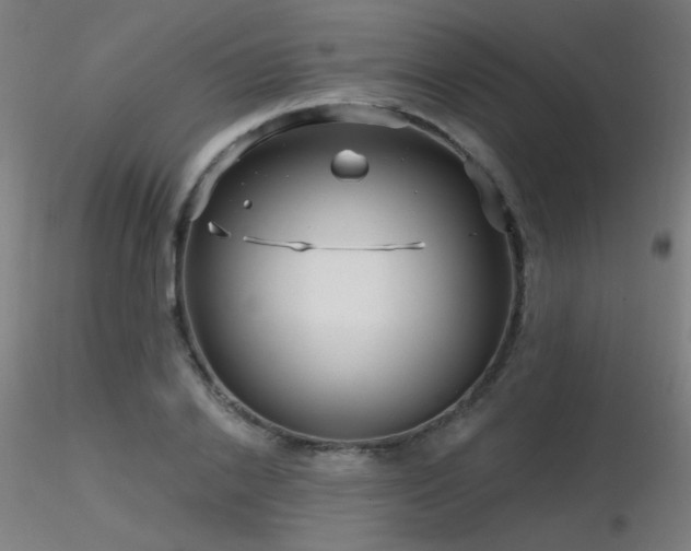 X0000116810838200912181342