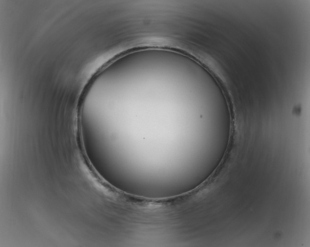 X0000116810839200912181342