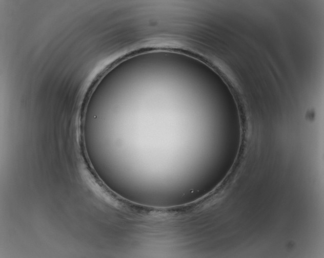 X0000116810840200912181342