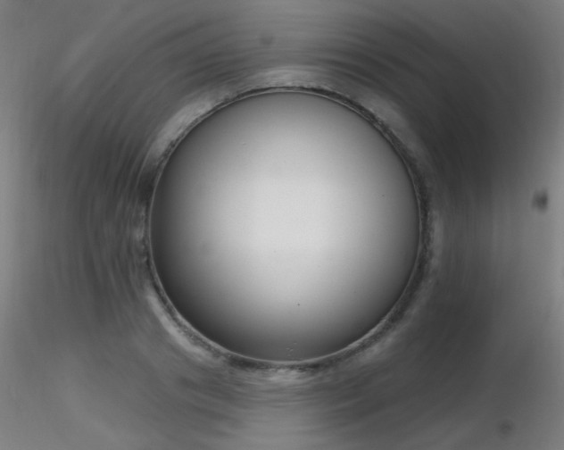 X0000116810841200912181342