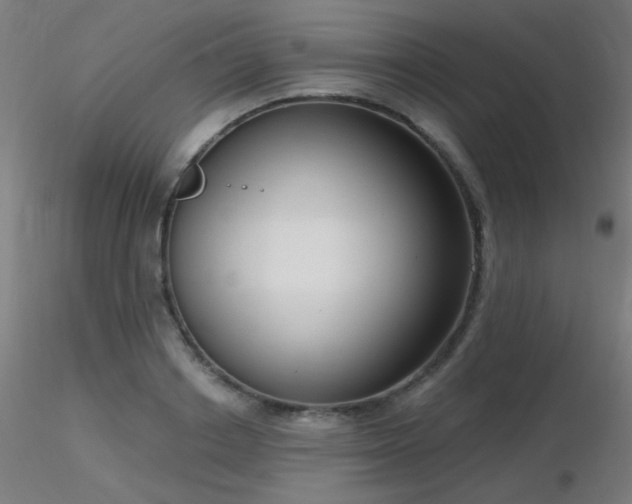 X0000116810842200912181342