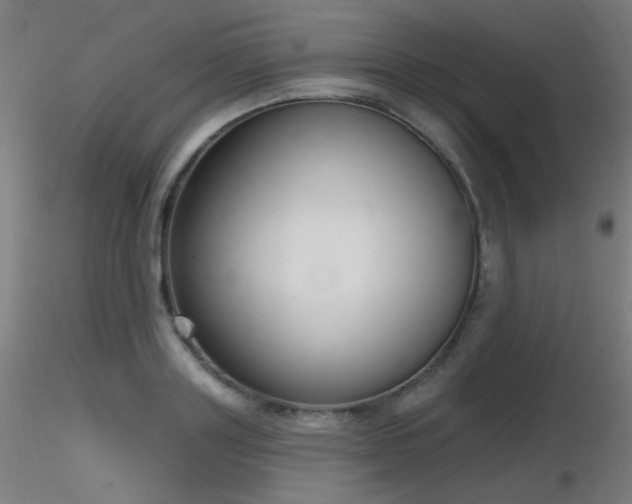 X0000116810843200912181343