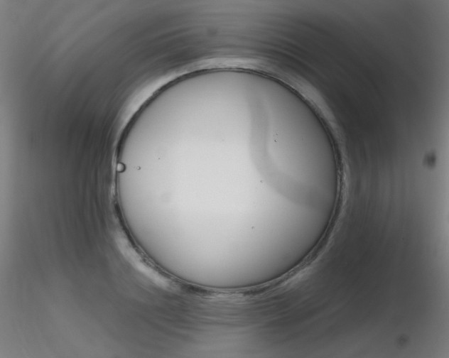 X0000116810844200912181343