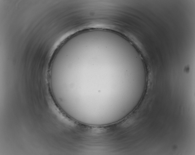 X0000116810848200912181343