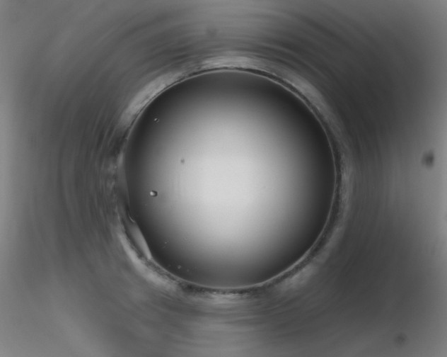 X0000116810849200912181343