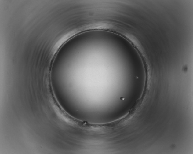 X0000116810850200912181343