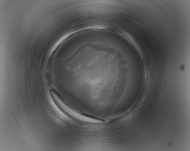 X0000116810851200912181343