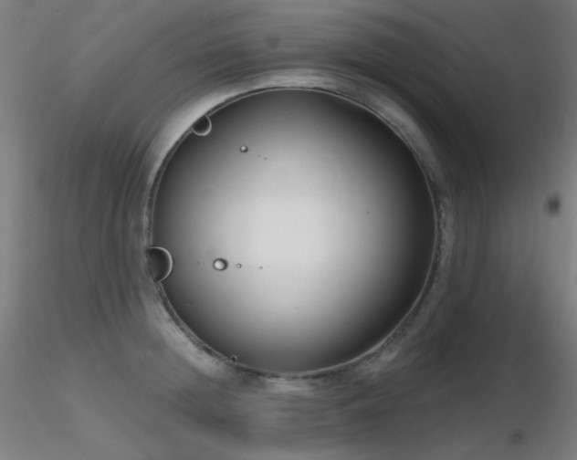 X0000116810852200912181343