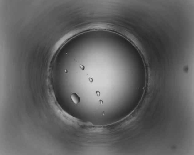 X0000116810853200912181343
