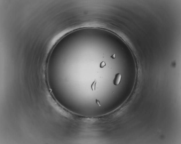 X0000116810854200912181343