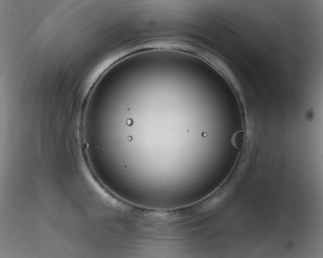 X0000116810855200912181343