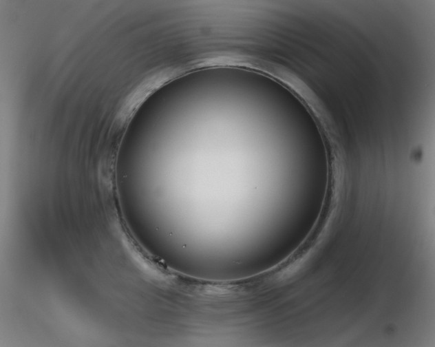 X0000116810857200912181343