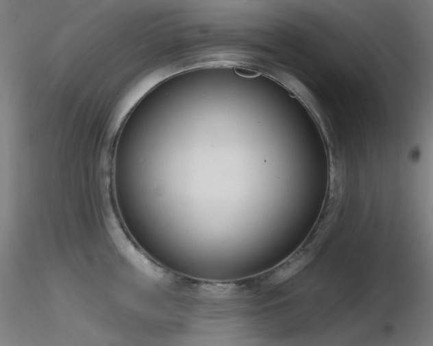 X0000116810859200912181343