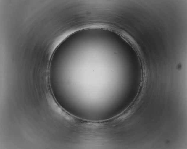 X0000116810860200912181343