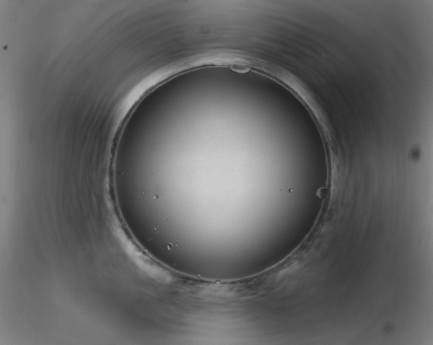 X0000116810861200912181343