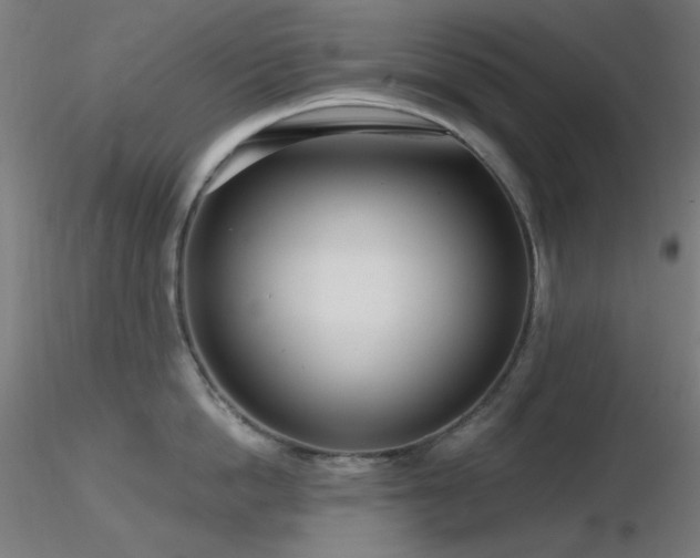 X0000116810862200912181343