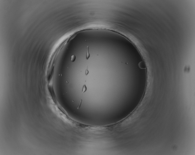 X0000116810864200912181343