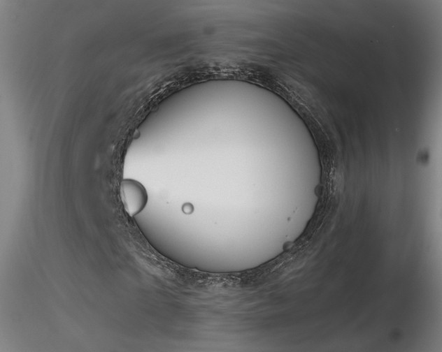 X0000116810865200912181342