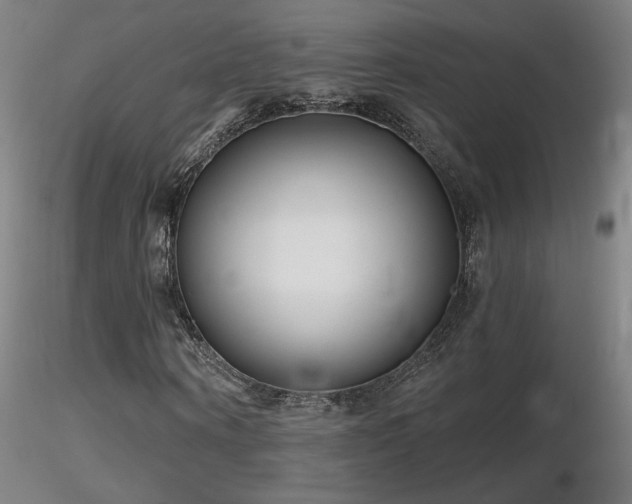 X0000116810866200912181342