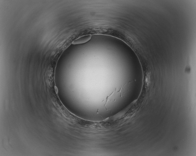 X0000116810867200912181342