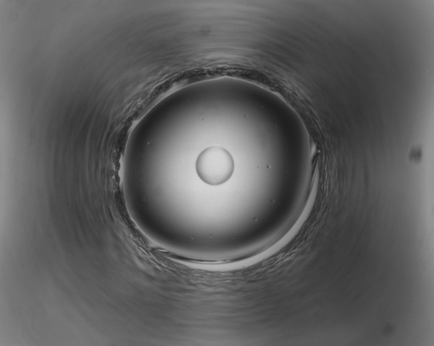 X0000116810868200912181342