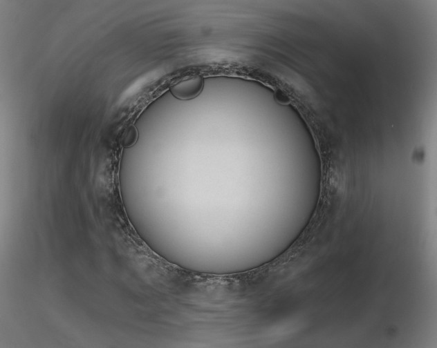 X0000116810869200912181342