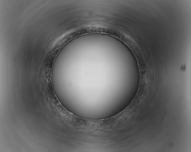 X0000116810870200912181342