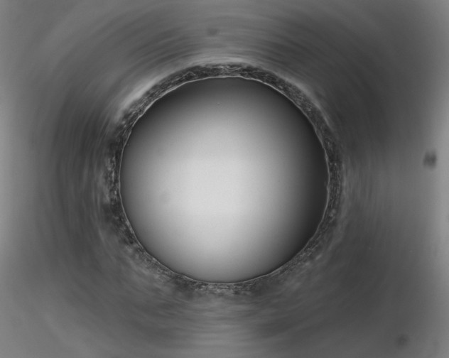 X0000116810871200912181342