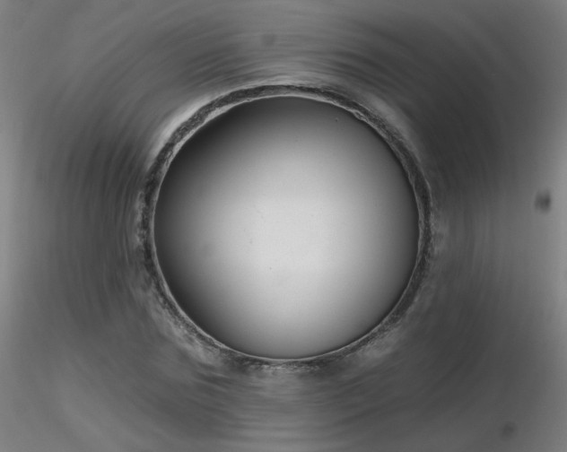 X0000116810875200912181342