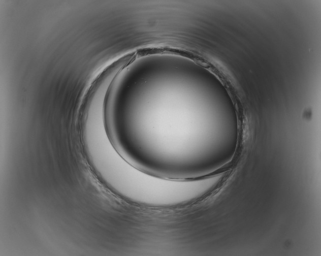 X0000116810876200912181342