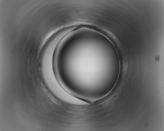 X0000116810878200912181342