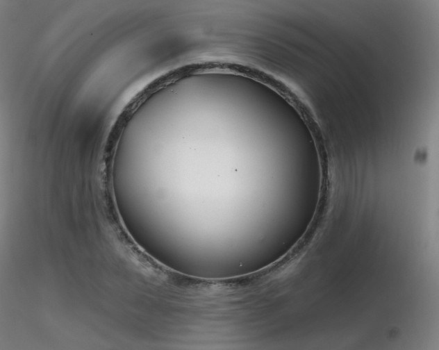 X0000116810879200912181342