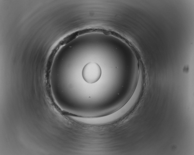 X0000116810880200912181342