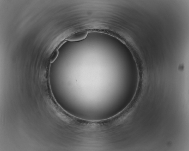 X0000116810881200912181342