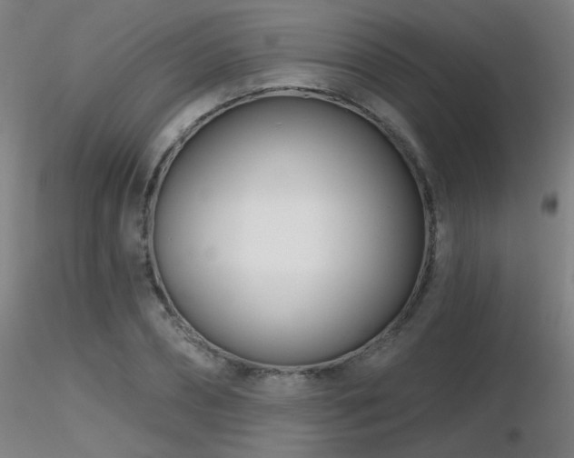 X0000116810882200912181342