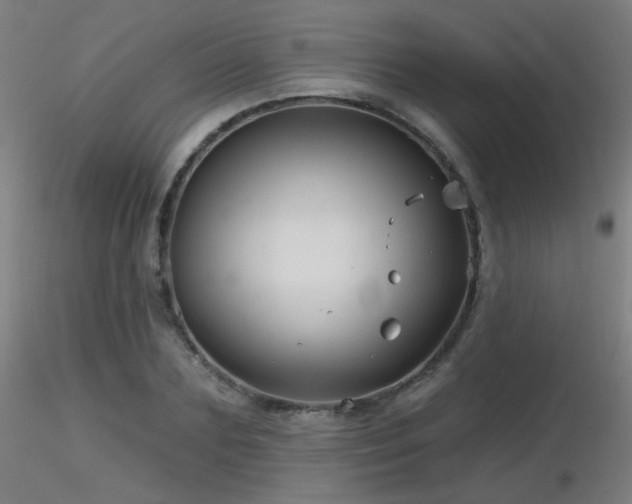 X0000116810883200912181342
