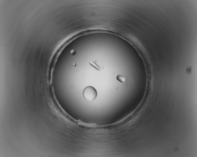 X0000116810884200912181342
