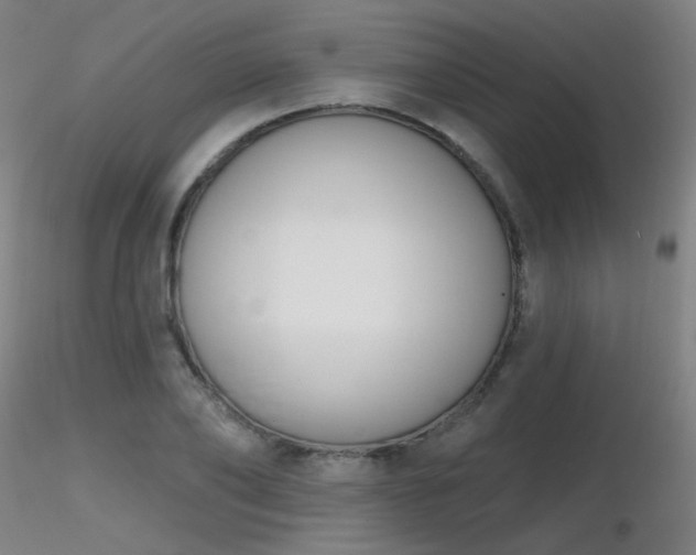 X0000116810886200912181342
