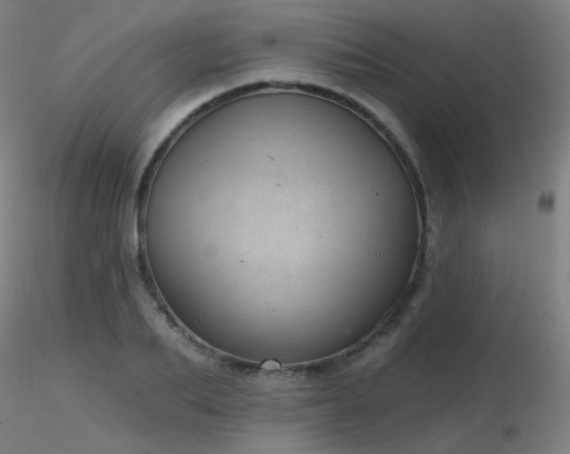 X0000116810887200912181342