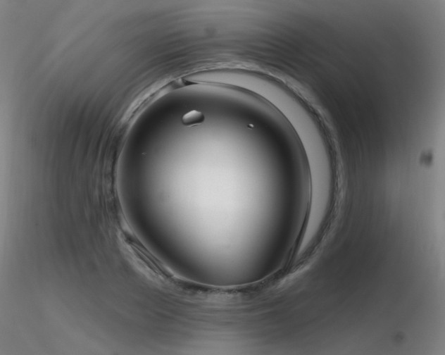 X0000116810889200912181342