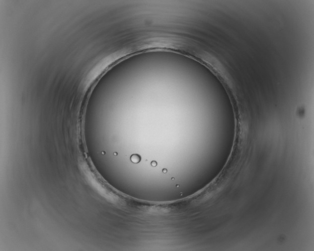 X0000116810890200912181342