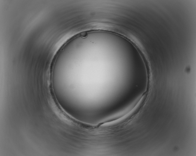 X0000116810891200912181342